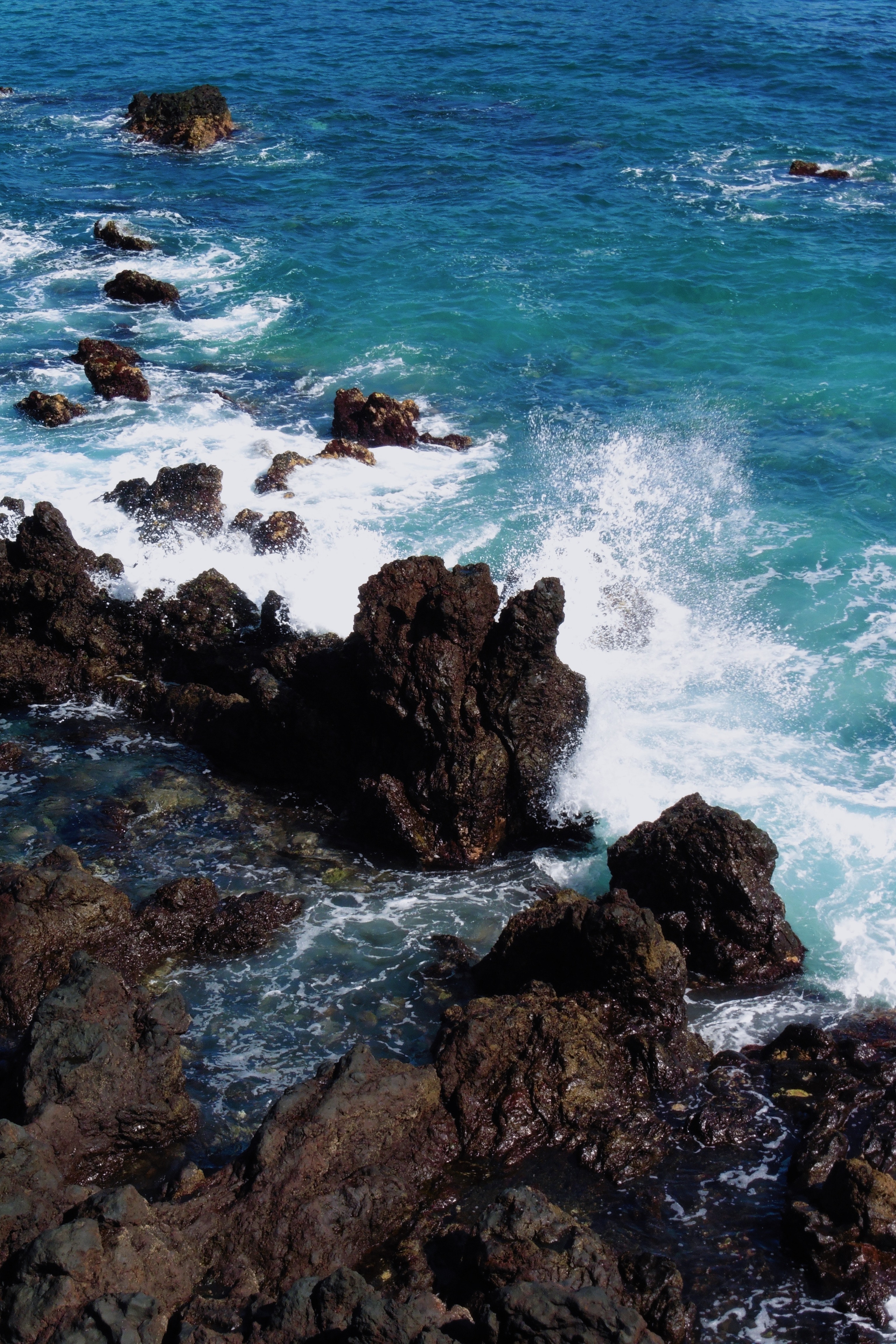 Beautiful Sea Shore